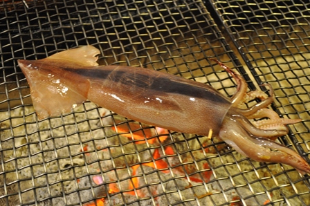 �k�C���T�Q