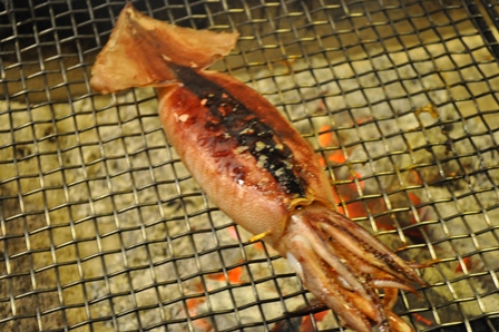 �k�C���T�R