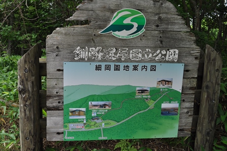 �k�C���P�S