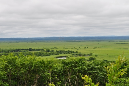 �k�C���P�T