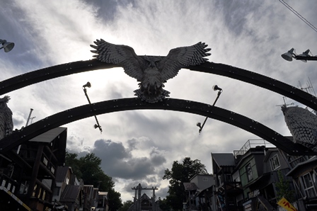 �k�C���Q�X