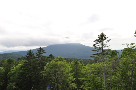 �k�C���R�Q