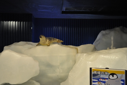 �k�C���P�Q