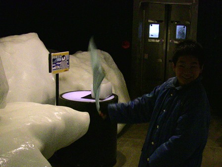 �k�C���P�R