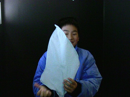 �k�C���P�S