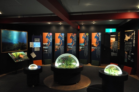 �k�C���P�W