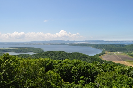 �k�C���P�X