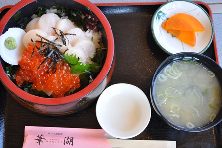 �k�C���Q�T