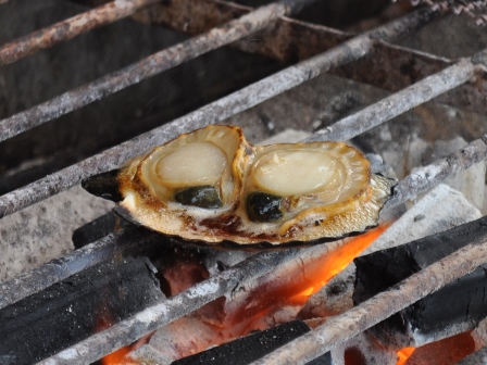 �k�C���Q�W