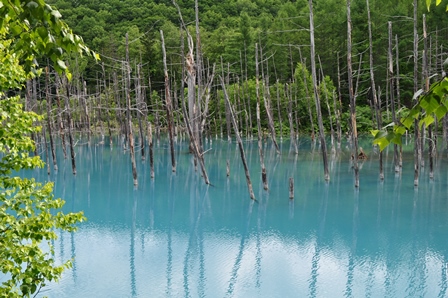 �k�C���P�O