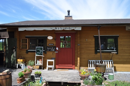 �k�C���P�P