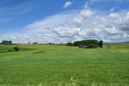 �k�C���P�U