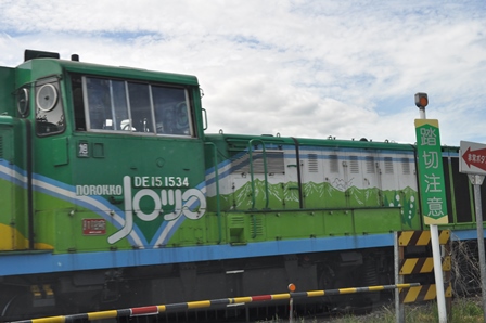 �k�C���Q�T