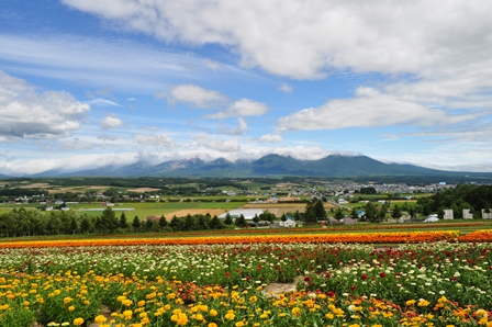 �k�C���R�O