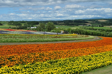 �k�C���R�P