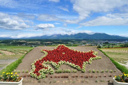 �k�C���R�Q