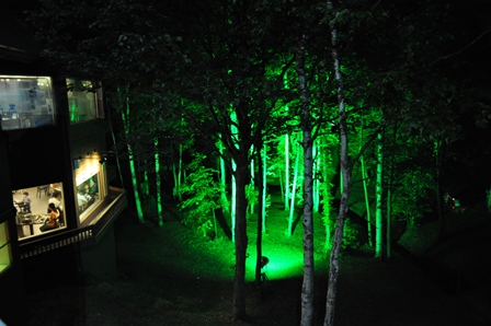 �k�C���U�S