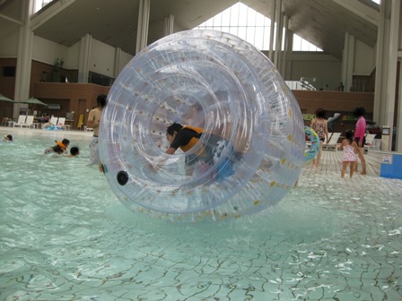 �k�C���P�Q