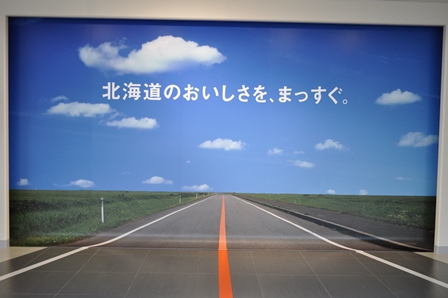 �k�C���P�V