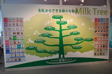 �k�C���P�X