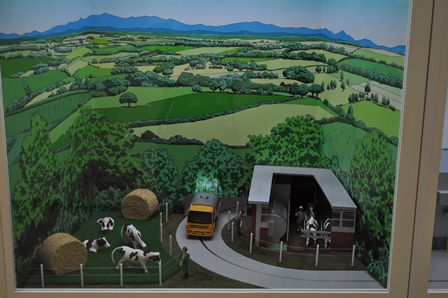 �k�C���Q�Q