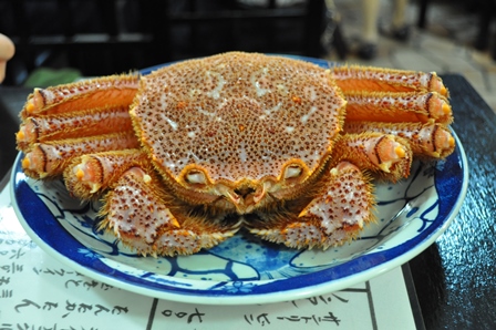 �k�C���R�R