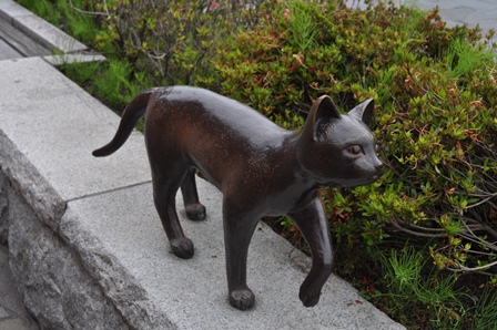 �k�C���P�U