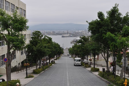 �k�C���Q�P