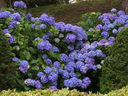 �k�C���Q�U