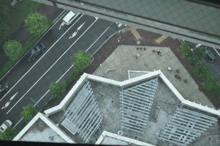 �k�C���S�W