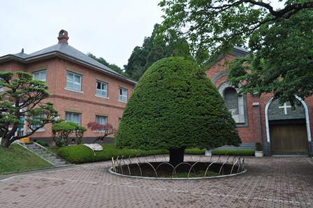 �k�C���U�X