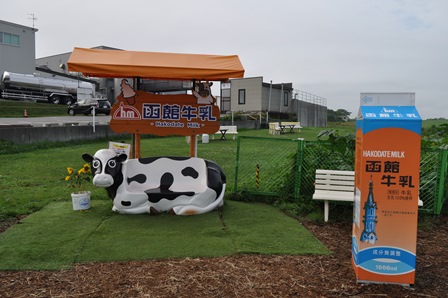 �k�C���V�T