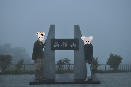 �k�C���W�P