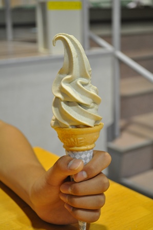 �k�C���P�U