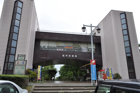 �k�C���P�W