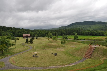 �k�C���Q�P