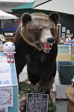 �k�C���R�Q