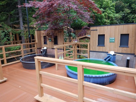 �k�C���S�T