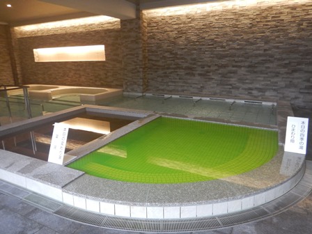 �k�C���P�R