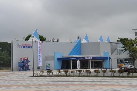 �k�C���S�P