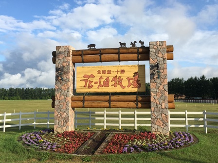 �k�C���S�V