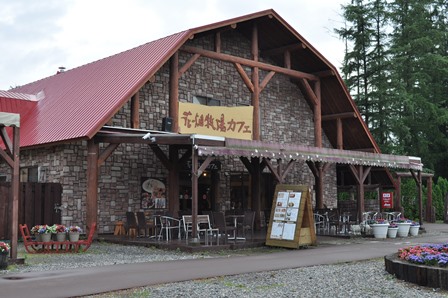 �k�C���S�W