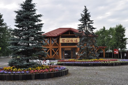 �k�C���S�X