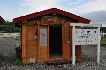 �k�C���T�O