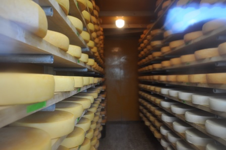 �k�C���T�Q