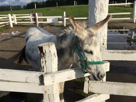 �k�C���T�U