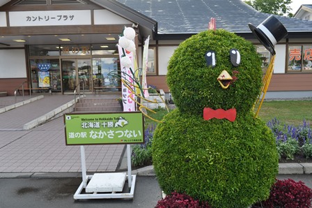 �k�C���T�W