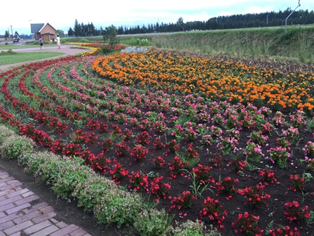 �k�C���U�T