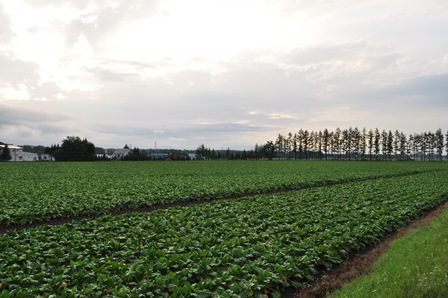 �k�C���U�U