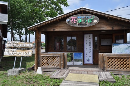 �k�C���P�Q